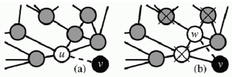 Two network formation mechanisms in the discussed
model.