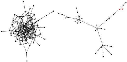 Two networks - left one was generated by using Erdos-Renyi algorithm,
right one was generated by using Barabasi-Albert
algorithm.
